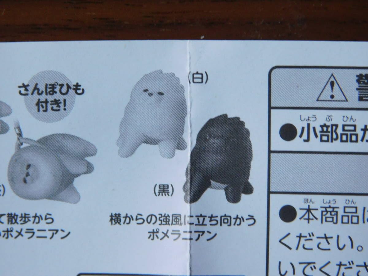 Amazon.co.jp: ぽめさんぽ 2 横からの強風に立ち向かうポメラニアン 白